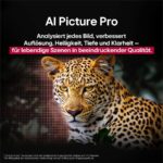 LG OLED83B59LA - Téléviseur OLED 83 pouces (210 cm), 4K Ultra HD, webOS – Image 9