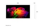 LG OLED83W6 - Téléviseur OLED evo 83 pouces (210 cm), 4K Ultra HD, webOS – Image 2