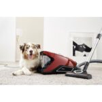 Miele Blizzard CX1 Cat&Dog PowerLine - Aspirateur traîneau sans sac, 890 W, 76 dB(A) – Image 2