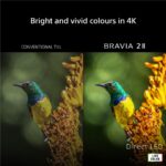 Sony BRAVIA 2 II - Téléviseur LED 55 pouces (139 cm), 4K Ultra HD, Google TV – Image 2